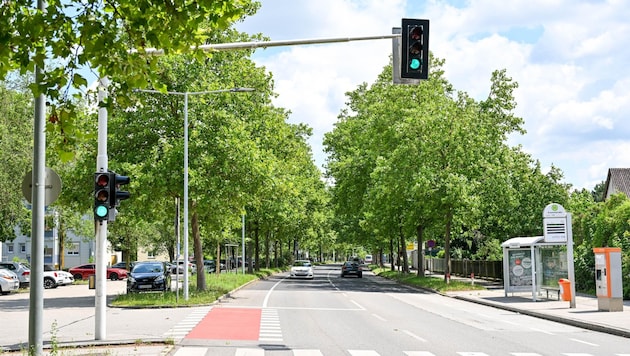 Bis September wird in Linz an der Kreuzung Dauphinestraße-Enenkelstraße die Ampel erneuert. (Bild: Dostal Harald)