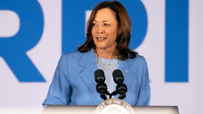 Vice President Kamala Harris could run as a candidate for the presidential election. 