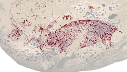 Auf Sulawesi haben Forscher die älteste gegenständliche Höhlenmalerei (Bild) entdeckt.