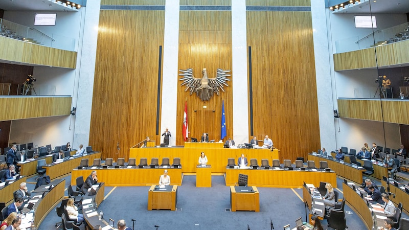 Mehrere EU-Richtlinien wurden nicht in nationales Recht gegossen. (Bild: APA/Tobias Steinmaurer)