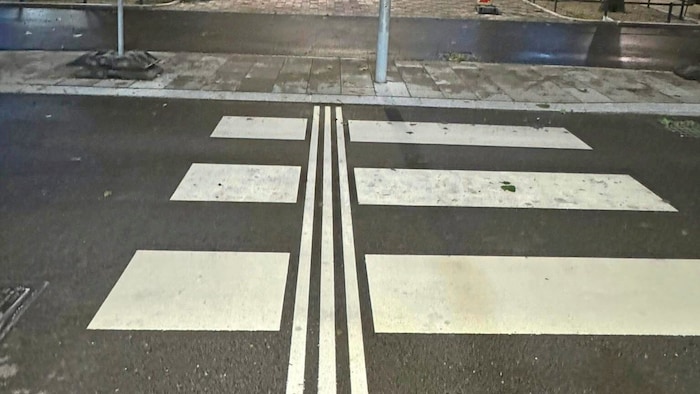 Einen Zebrastreifen gibt es nur auf der Fahrbahn,  nicht aber am Radweg.