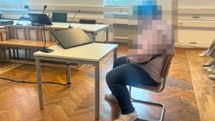 Ein ungewöhnlicher Prozess um einen 16-jährigen Wiener im „Landl“ (Bild: Krone, Krone KREATIV)