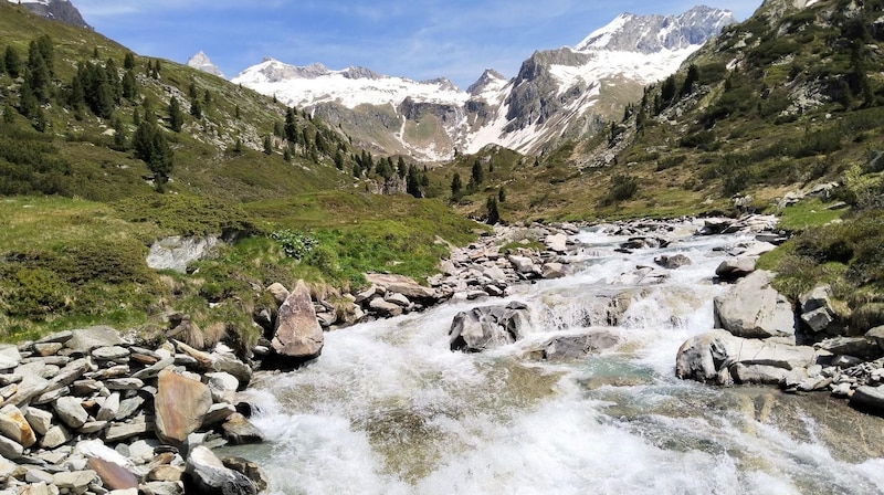 Roaring streams and ice giants surround the Berliner Hütte. (Bild: Peter Freiberger)