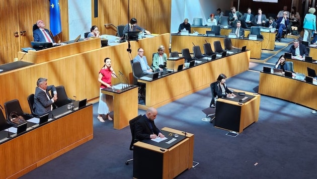 Meeting of the National Council (archive photo) (Bild: Petja Mladenova)