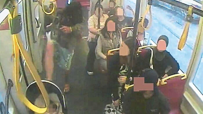 Schockierende Szenen in der Wiener Straßenbahn, Linie 46