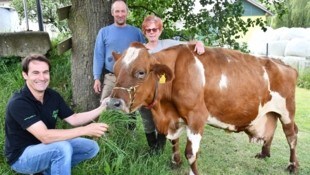 Längstdienende Mitarbeiterin am Milchhof der Steiningers: „Waupi“, eine Tochter des legendären ...