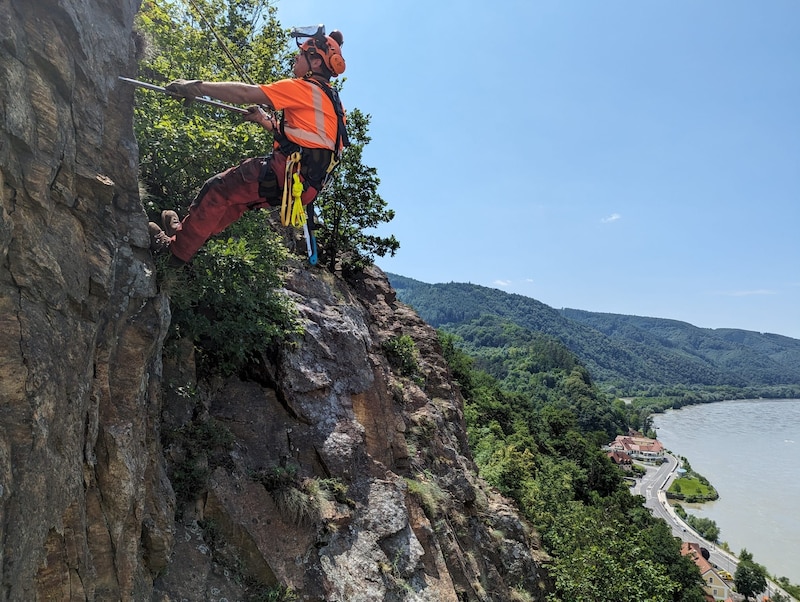 Aufgrund der derzeitigen geologischen Einschätzung kann noch keine Entwarnung gegeben werden: Die im Hang liegen gebliebene Sturzmasse ist extrem labil und absturzgefährdet. (Bild: NÖ Straßendienst)