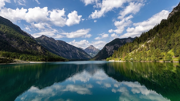 Der Plansee im Außerfern ist ebenfalls Teil der Untersuchungen. (Bild: Land Tirol)