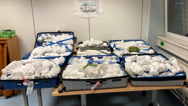 120 kilos of khat were discovered in suitcases from Israel at Vienna-Schwechat Airport. (Bild: APA/BMF/ZOLL)