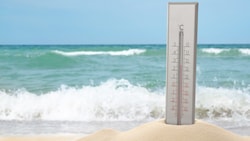 Von April 2023 bis Juli 2024  waren die Temperaturen der Meeresoberflächen im weltweiten ...