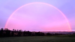 (Bild: Leserreporter/Thomas M.)