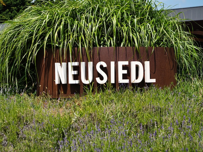 The large traffic circle in the middle of Neusiedl am See has also been landscaped. Lavender predominates here. 