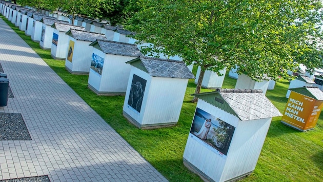 Die kleinen Badehütten im Klagenfurter Strandbad verwandelten sich wieder in beeindruckende Kunstwerke. (Bild: Arbeiter Dieter/Dieter Arbeiter)