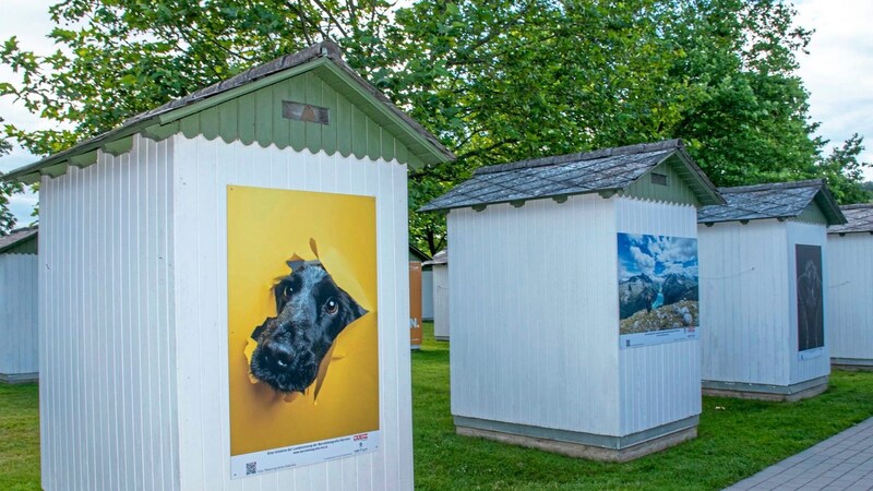 Die Badehütten werden bis Spätsommer zur Galerie. (Bild: Arbeiter Dieter/Dieter Arbeiter)