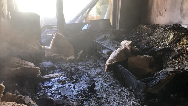 A lakásban jelentős károk keletkeztek. (Bild: Berufsfeuerwehr Graz)