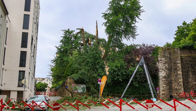 Kaza Linz'deki Tummelplatz'da meydana geldi. (Bild: laumat)