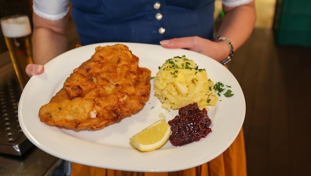 Droht dem Schnitzel das Aus?  (Bild: Scharinger Daniel)