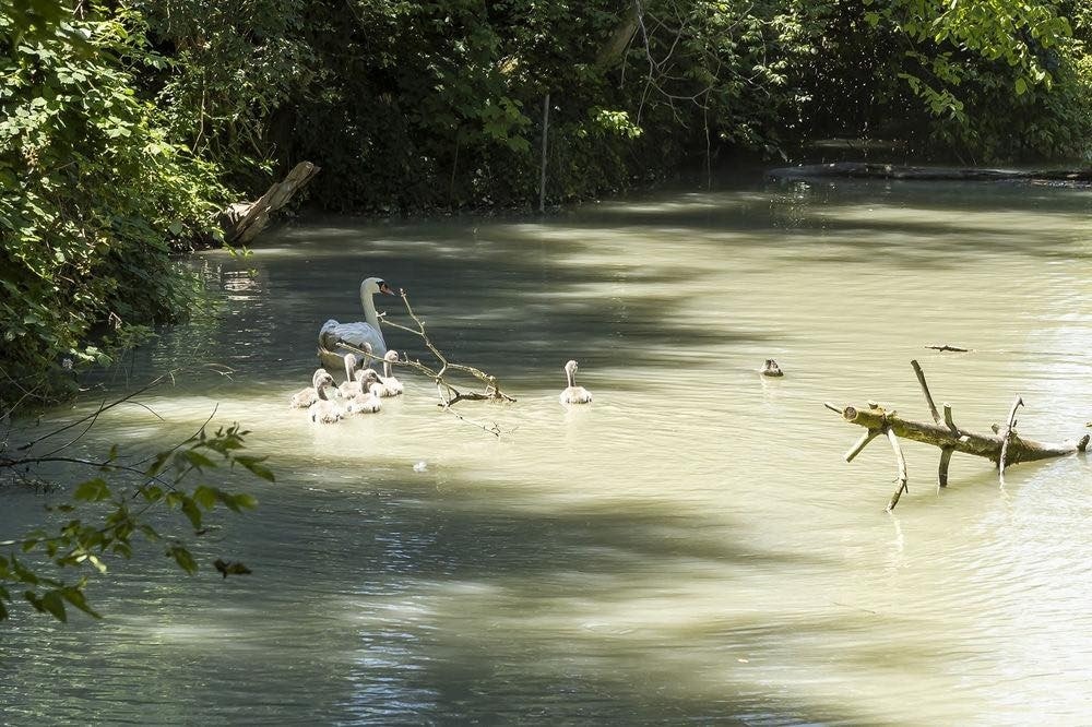 (Bild: Feuerwehr Krems an der Donau)