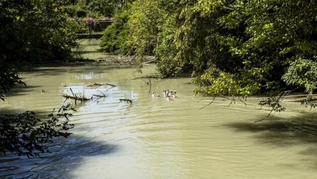 (Bild: Feuerwehr Krems an der Donau)