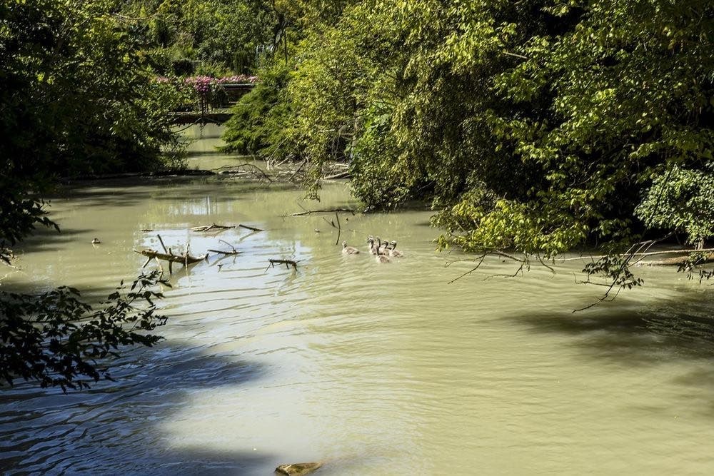 (Bild: Feuerwehr Krems an der Donau)