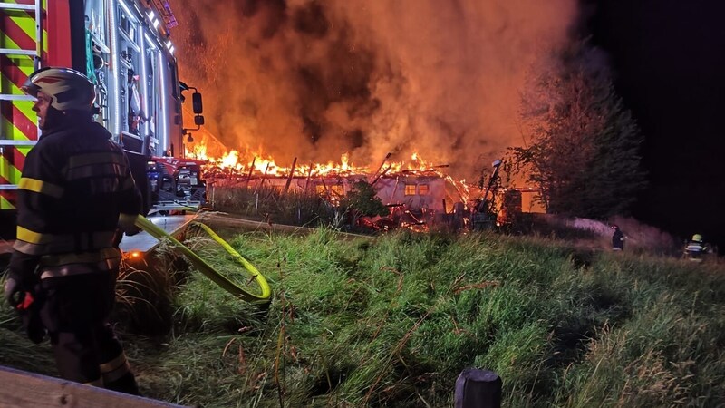 Das Stallgebäude brannte komplett nieder. (Bild: FF Rohrbach an der Lafnitz)