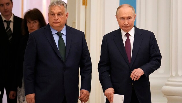 Rusya Devlet Başkanı Vladimir Putin ve Macaristan Başbakanı Viktor Orban Cuma günü gerçekleştirdikleri görüşmenin ardından ortak basın toplantısı düzenlemek üzere salona girdi. (Bild: ASSOCIATED PRESS)