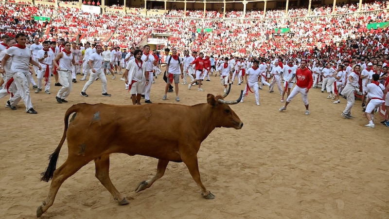 The bull chase is considered a test of courage for young men. (Bild: AFP/Miguel Riopa)