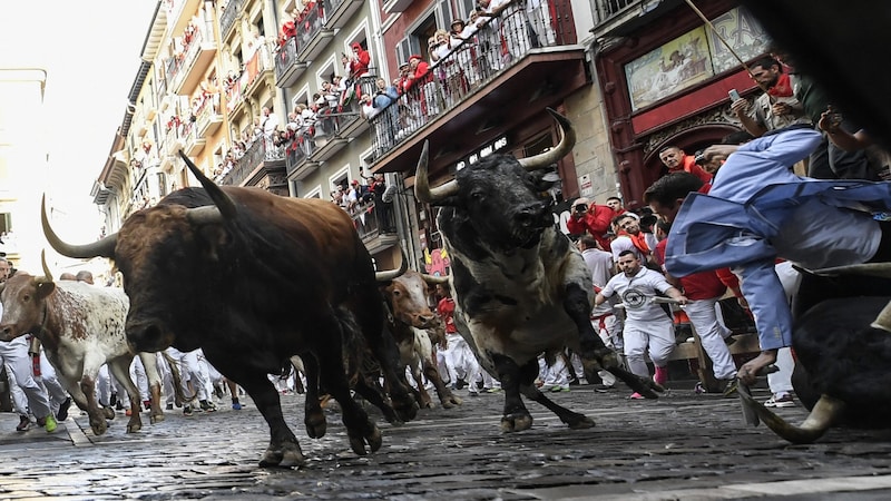 The bulls in the old town (Bild: AFP/Ander Gillenea)