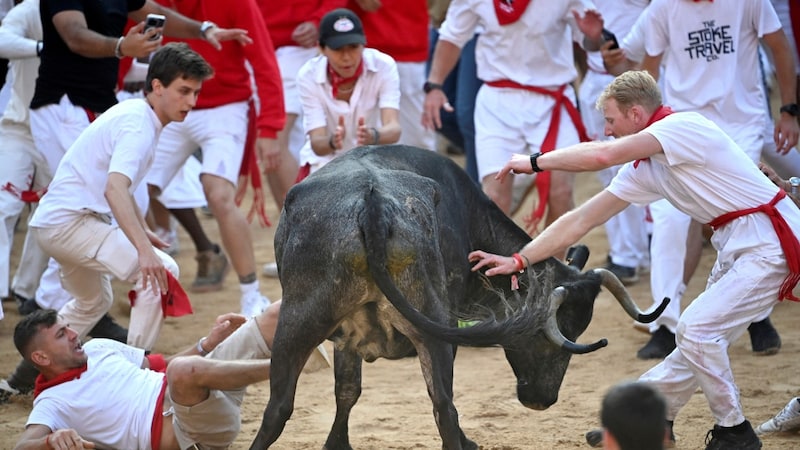 During the hunt in the arena (Bild: AFP/Miguel Riopa)