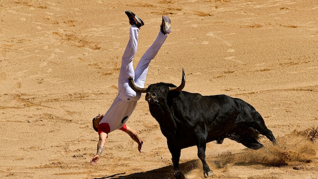 Pazar günü İspanya'nın kuzeyindeki Pamplona'da düzenlenen ikinci boğa güreşi sırasında en az altı kişi yaralandı. (Bild: AP/Alvaro Barrientos)