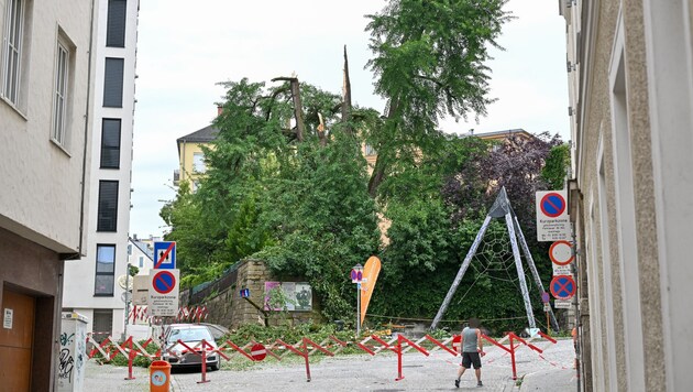 The Tummelplatz in the center of Linz was cordoned off the day after the accident. Tree parts hit several people there, two were seriously injured. (Bild: © Harald Dostal / 2024, Krone KREATIV)