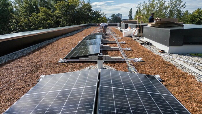 The photovoltaic system on the workshop stage and the multi-purpose building should be installed ...