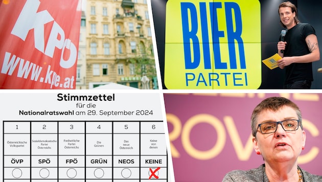 KPÖ, Bier, Wandel or the Madeleine Petrovic list - they all want to be in the National Council elections. (Bild: Krone KREATIV/APA/TOBIAS STEINMAURER, APA/GEORG HOCHMUTH, APA/FLORIAN WIESER, Wandel Design Team)