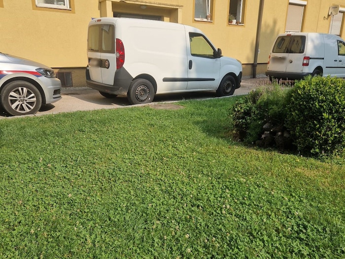 In Begleitung der Polizei holte die Behörde die Hündin ab.