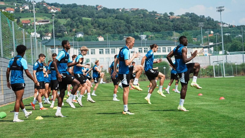 Diarra, Markus, Amadin & Co. (v. r.) schwitzen in Hartberg bei 31 Grad. (Bild: Pail Sepp/Sepp Pail)