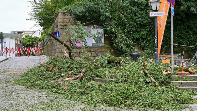 Teile eines Baumes, der in Privatbesitz steht, trafen am Tummelplatz in Linz mehrere Menschen.  (Bild: Dostal Harald)