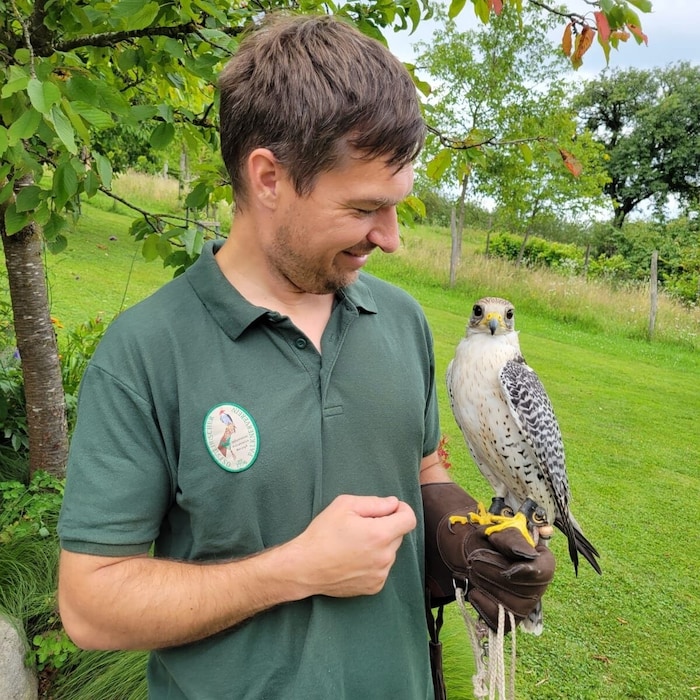 Falkner Strempfl hat seine Vögel unter Kontrolle
