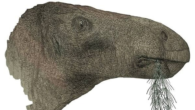 Der Dinosaurier wurde im Süden von England gefunden. (Bild: University Of Portsmouth/ PA Medi, Krone KREATIV)