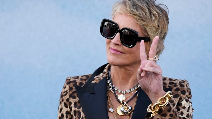 "A lot of people thought I was going to die," Stone said of her stroke.