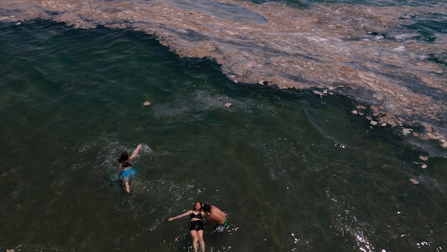 Alg balçığı (burada Türkiye'de görüldüğü gibi) hoş görünmüyor - ancak yüzücüler için zararsız. (Bild: APA/AFP)