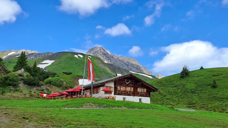 The Kriegeralpe offers more than just a great view. (Bild: Rubina Bergauer)