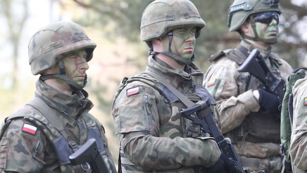 Poland is installing a "rapid border reaction force". (Bild: AFP/PETRAS MALUKAS)