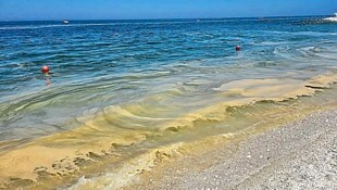 Glitschiger Algenschleim am Strand von Bibione (Bild: zVg)