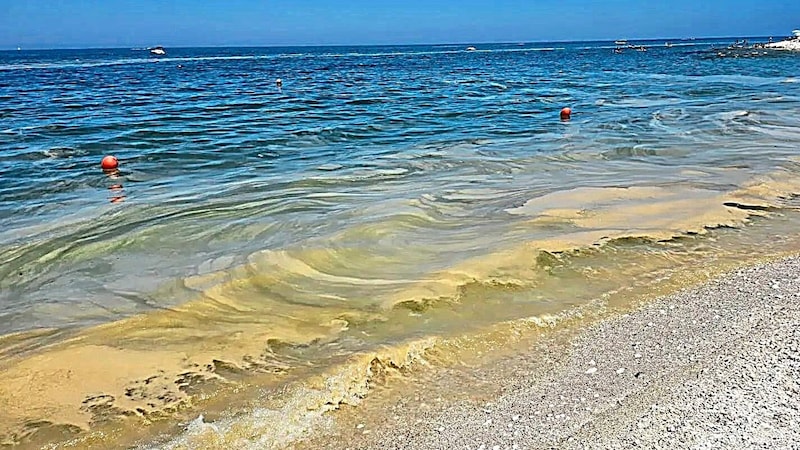 Slippery algae slime on the beach in Bibione (Bild: zVg)