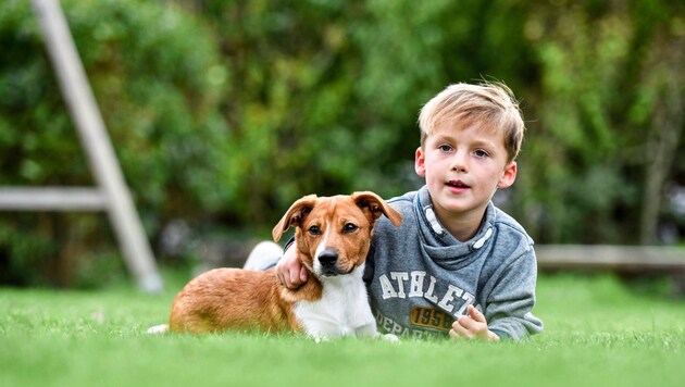 The "ÖPi" - a loyal companion on four paws (Bild: Wenzel Markus)