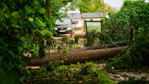 The storms on Wednesday will be followed by the clean-up operation. Numerous fallen trees caused road closures across the country. (Bild: APA/DANIEL SCHARINGER)