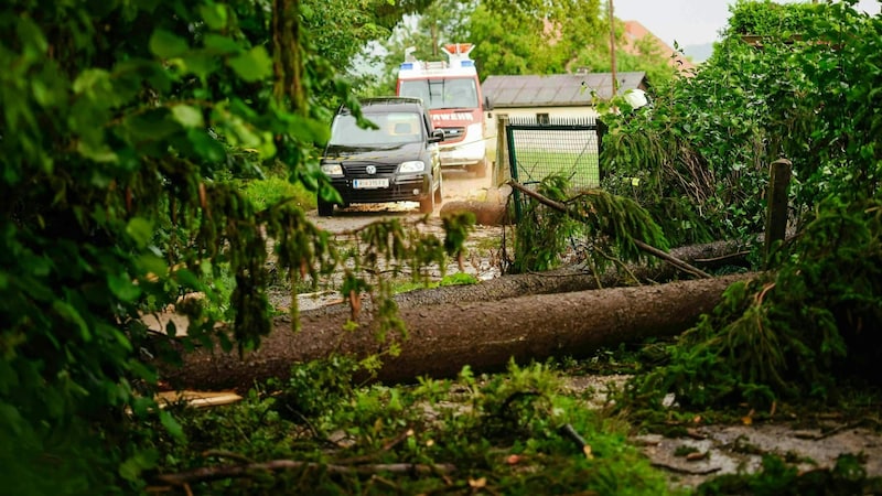 After the storms on Wednesday, the clean-up work will follow. Numerous fallen trees caused road closures across the country. (Bild: APA/DANIEL SCHARINGER)
