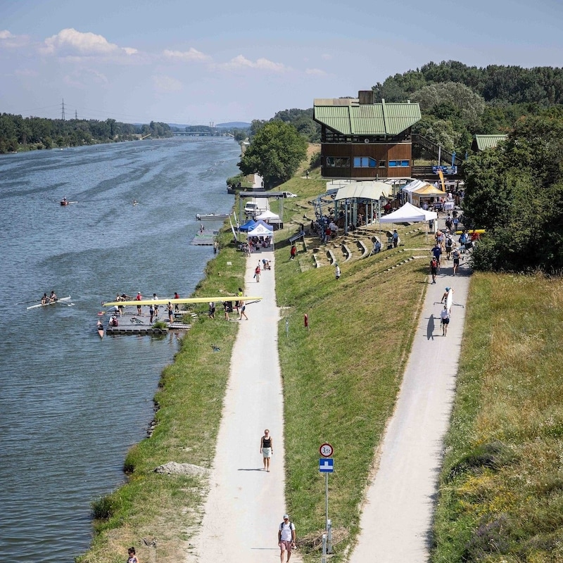 So sieht das Leistungszentrum an der Neuen Donau in Aspern aus. (Bild: Wiener Rudenverband)