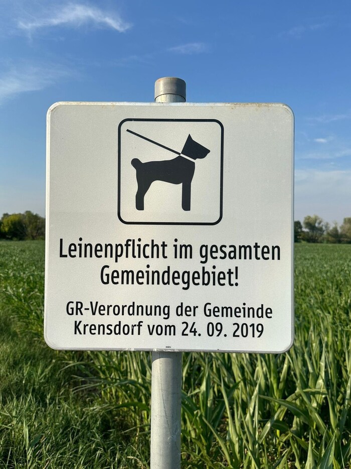 Die neuaufgestellten Schilder verweisen auf eine Verordnung aus 2019. Exekutiert wurde diese bis ...