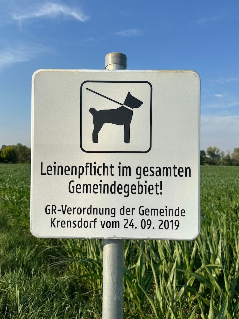 Die neuaufgestellten Schilder verweisen auf eine Verordnung aus 2019. Exekutiert wurde diese bis jetzt nicht, Hundehalter sind nun verunsichert. (Bild: privat)